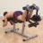 Тренажер сгибание-разгибание ног Body-Solid GLCE-365 на свободном весе оптом