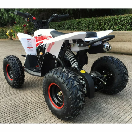 Квадроцикл MOTAX GEKKON 90cc оптом, фото 12