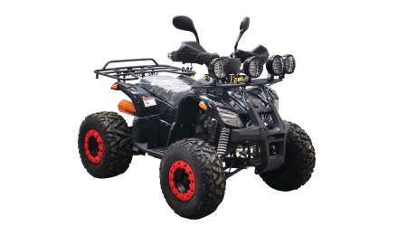 Квадроцикл BISON Kids 125 LD оптом, фото 3