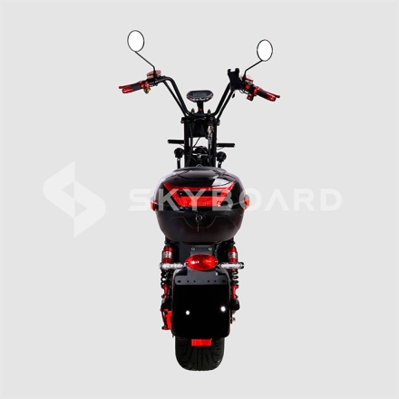 Электроскутер Citycoco SkyBoard BR20-3000 PRO оптом, фото 5
