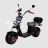 Электроскутер Citycoco SkyBoard BR20-3000 PRO оптом
