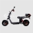 Электроскутер Citycoco SkyBoard BR20-3000 PRO оптом