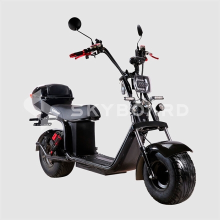 Электроскутер Citycoco SkyBoard BR20-3000 PRO оптом, фото 2