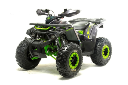 Квадроцикл MOTOLAND Wild X Баланс. вал. (2021 Г.) оптом, фото 1