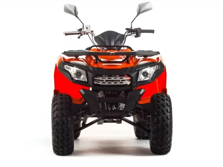 Квадроцикл MOTOLAND 200 Max оптом, фото 8