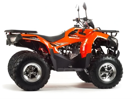 Квадроцикл MOTOLAND 200 Max оптом, фото 7