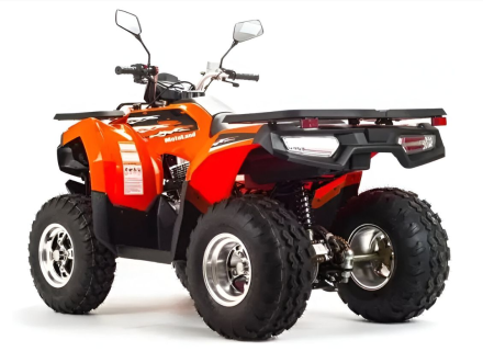 Квадроцикл MOTOLAND 200 Max оптом, фото 5