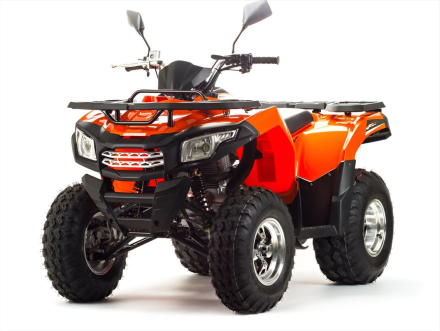 Квадроцикл MOTOLAND 200 Max оптом, фото 1