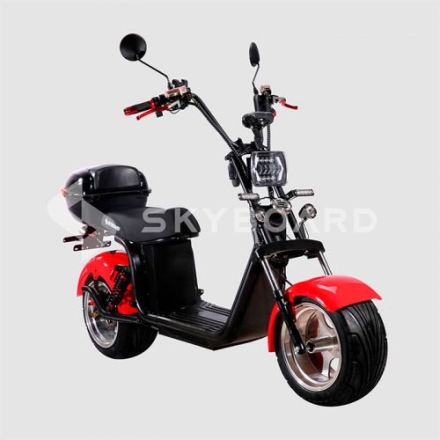 Электроскутер Citycoco SkyBoard BR30-3000 PRO оптом, фото 1