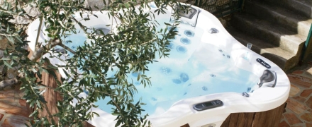 Спа бассейн Dimension One Spas Bay Collection Lotus Bay оптом, фото 2