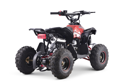 Квадроцикл YACOTA Renegade Mini оптом, фото 2