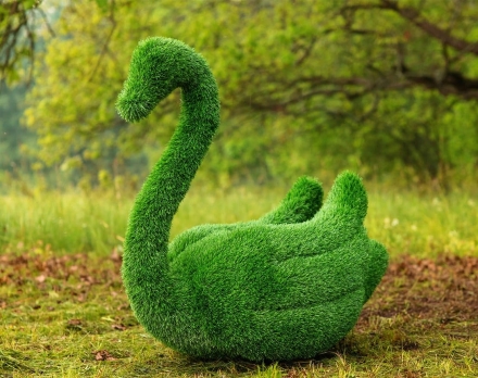 Топиари лебедь Чепелия - газон Eco Green оптом, фото 1
