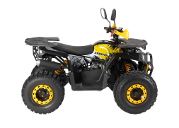 Квадроцикл AVANTIS Optima 8 Lux, фото 2