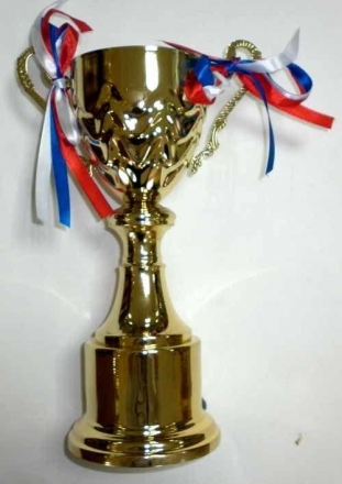 Кубок 4004 C h-34см (чаша) оптом, фото 1