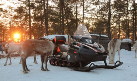 Снегоход РУССКАЯ МЕХАНИКА Тайга Patrul 550 SWT оптом, фото 7