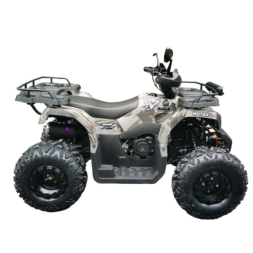 Квадроцикл GRIZLIK T200 LUX, фото 2