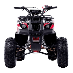 Квадроцикл WELS Thunder 125 Basic, фото 2