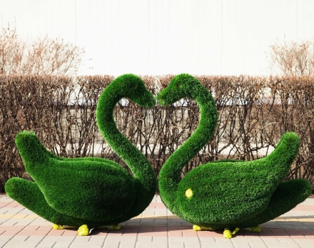 Топиари лебедь Авелин - газон Deluxe оптом, фото 4