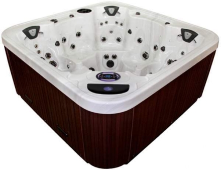 спа-бассейн Coast Spas Unity оптом, фото 2