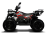 Квадроцикл SHARMAX 280 RX Activator оптом