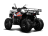 Квадроцикл SHARMAX 280 RX Activator оптом