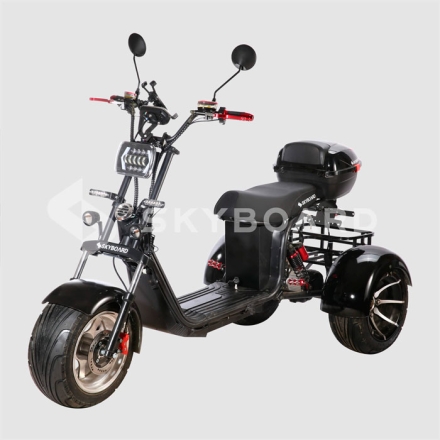 Электроскутер Citycoco SkyBoard Ural BR30-2WD PRO FAST оптом, фото 1