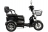 Электротрицикл RuTrike S2 V2 трансформер оптом