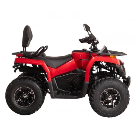 Квадроцикл Bizon YK250 Lux EFI оптом, фото 4