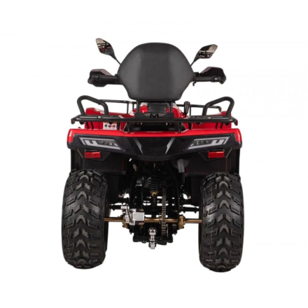 Квадроцикл Bizon YK250 Lux EFI оптом, фото 3