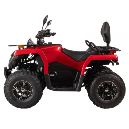 Квадроцикл Bizon YK250 Lux EFI оптом, фото 2