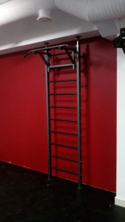 Шведская стенка RS-1TR оптом, фото 4