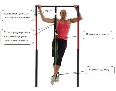 Эспандерная система Kampfer KSW professional Elastic GYM оптом, фото 2