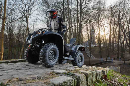 Квадроцикл BALTMOTORS Striker 500 EFI оптом, фото 18