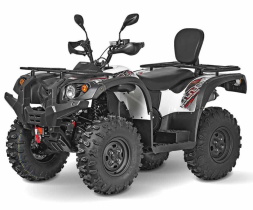 Квадроцикл BALTMOTORS Striker 500 EFI, фото 1