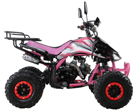 Квадроцикл MOTAX ATV T-Rex Super LUX 125 cc оптом, фото 5