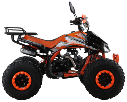 Квадроцикл MOTAX ATV T-Rex Super LUX 125 cc, фото 2