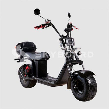 Электроскутер Citycoco SkyBoard Volga BR20-2WD PRO FAST оптом, фото 1