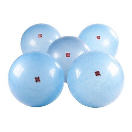 Гимнастические мячи BOSU Ballast® Ball, комплект: 5 шт. оптом, фото 1