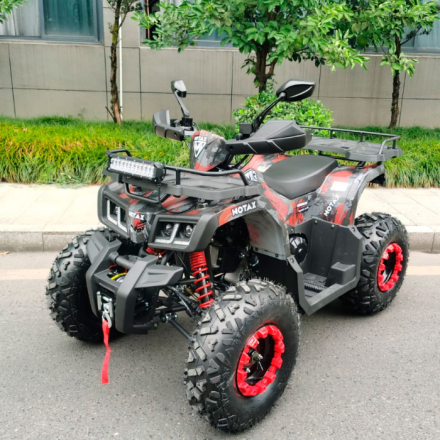Квадроцикл Motax ATV Grizlik T 200 LUX оптом, фото 2