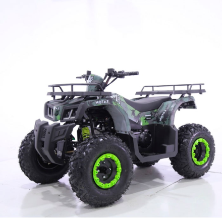 Квадроцикл Motax ATV Grizlik T 200 LUX оптом, фото 1