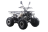 Квадроцикл MOTAX ATV Grizlik Premium 125cc оптом