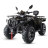 Квадроцикл MOTAX Grizlik 300 cc оптом
