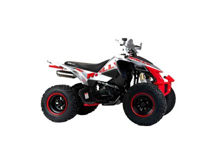 Квадроцикл MOTOLAND RALLY 250 оптом, фото 4