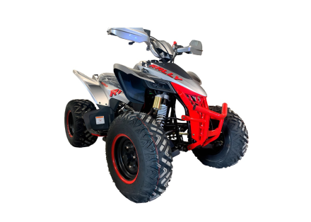 Квадроцикл MOTOLAND RALLY 250 оптом, фото 3