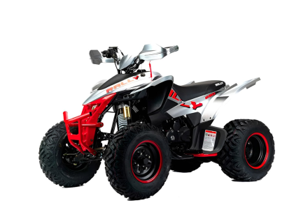 Квадроцикл MOTOLAND RALLY 250 оптом, фото 1