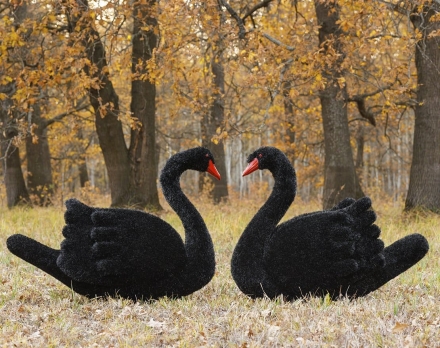 Топиари лебедь черный Блэк - газон Eco оптом, фото 4