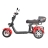 Электроскутер Citycoco WS-PRO+ trike 3000w 21ah (красный) оптом
