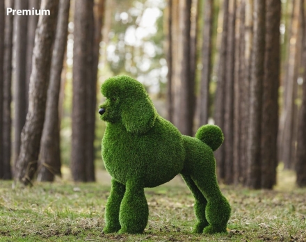 Топиари собака Пудель - газон Premium оптом, фото 1