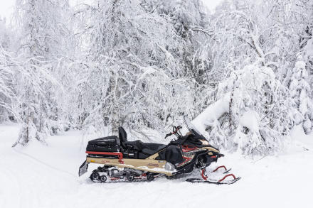 Снегоход AODES Snowcross 1000 WT LTS оптом, фото 12