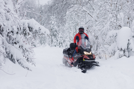 Снегоход AODES Snowcross 1000 WT LTS оптом, фото 9